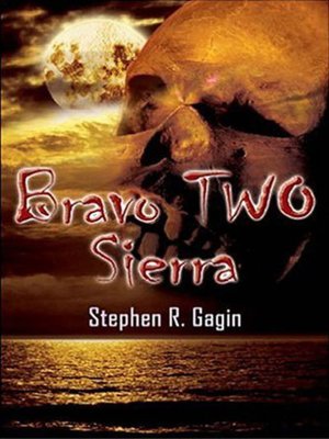 cover image of Bravo TWO Sierra